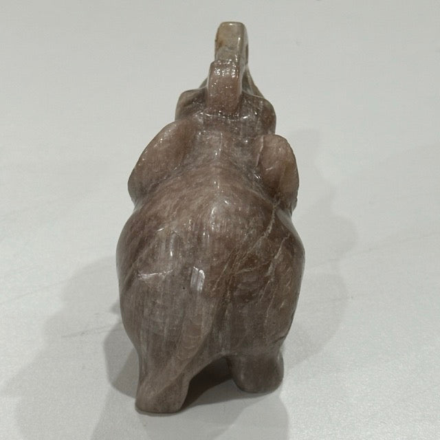 Moonstone Elephant | 358g Blue Flash