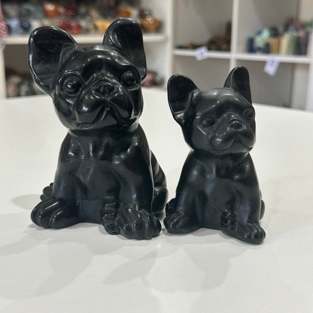 Black Obsidian French Bulldogs