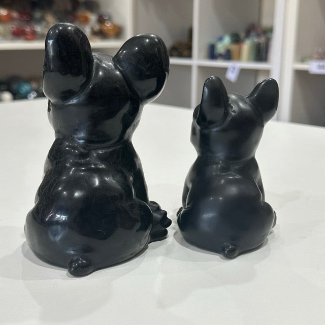 Black Obsidian French Bulldogs