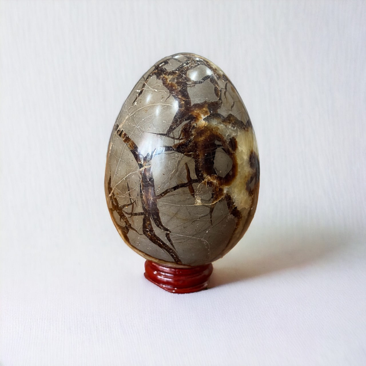 Septarian Egg | 775g