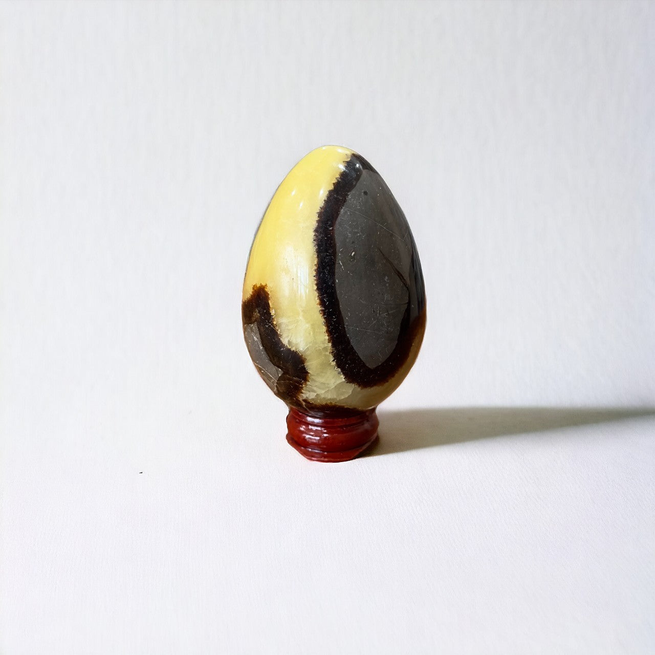 Septarian Egg | 215g