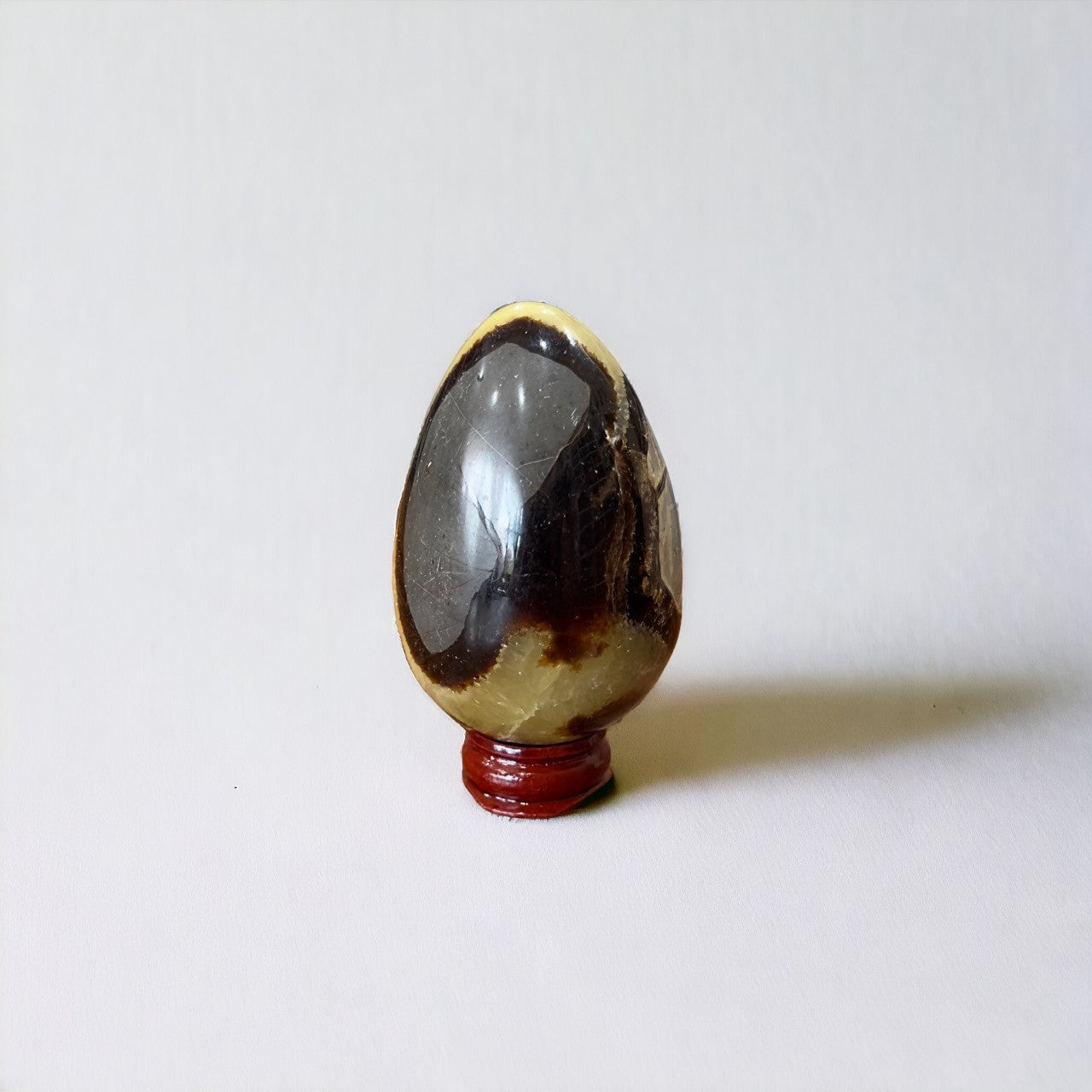 Septarian Egg | 215g