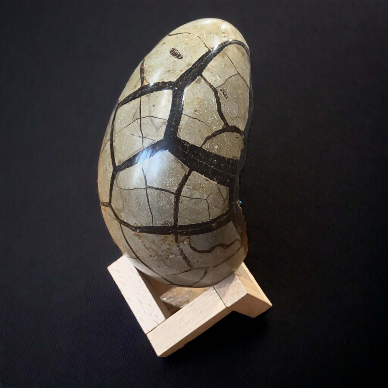 Septarian Egg | Geode Druzy