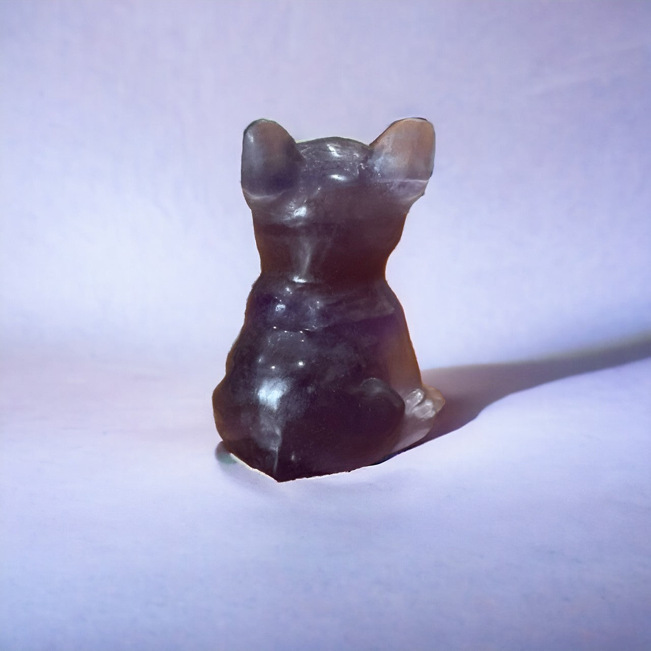 Fluorite French Bulldog