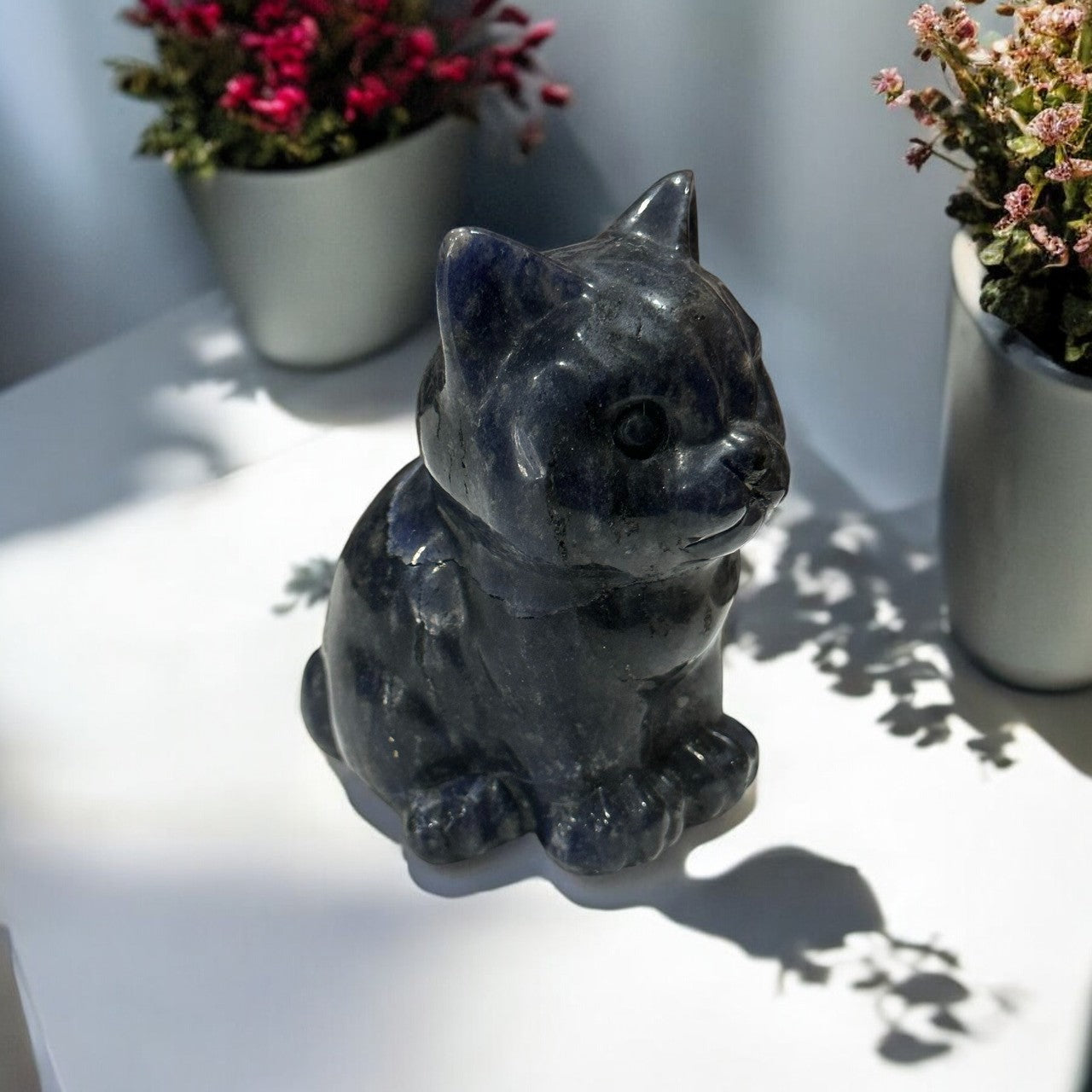 Sodalite Cat