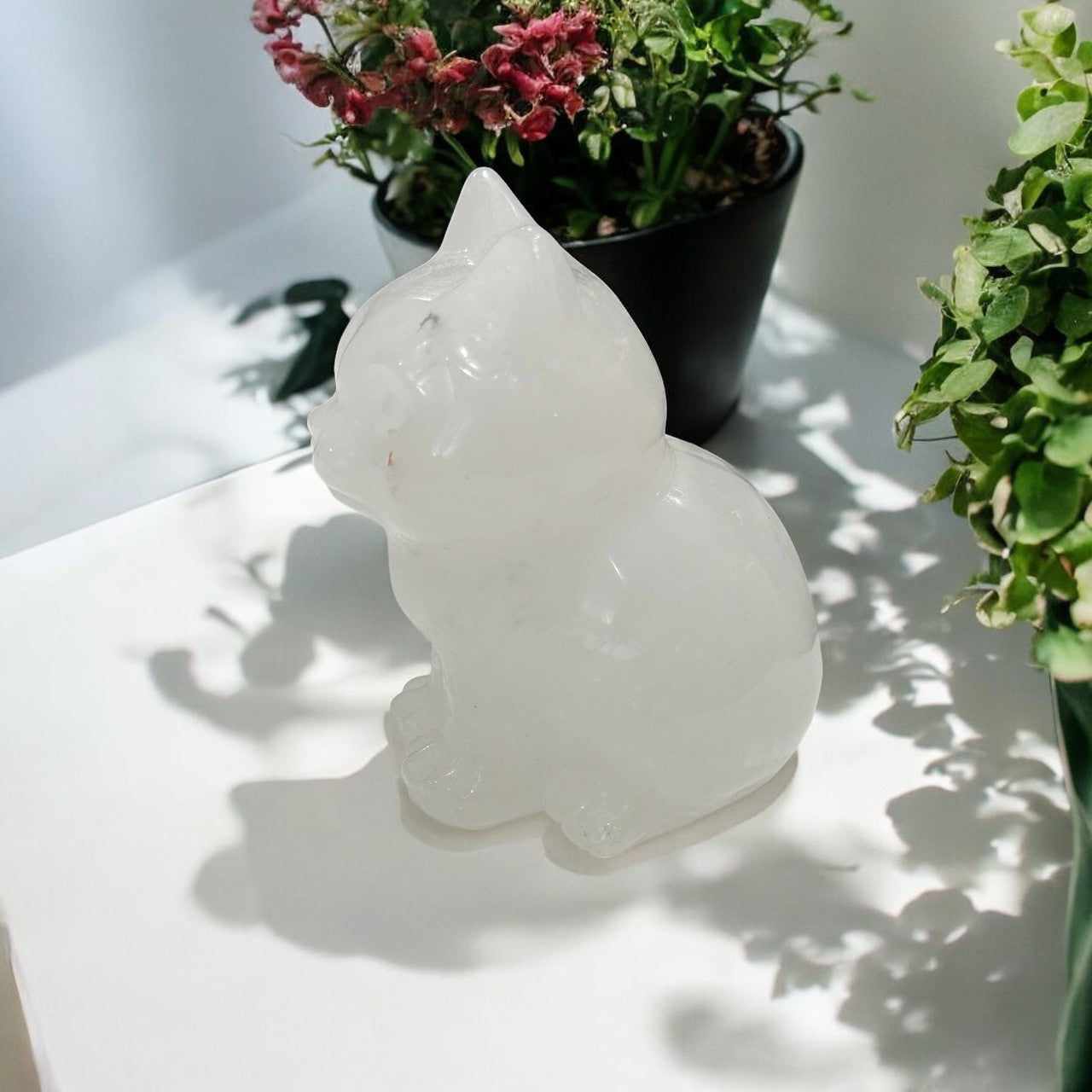 Quartz Cat
