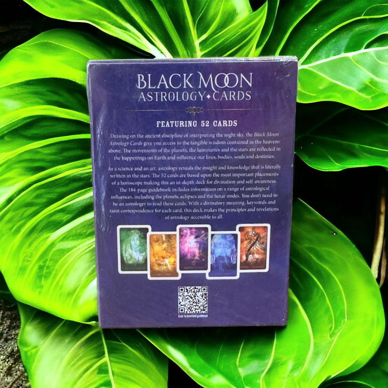 Card Deck: Black Moon Astrology Cards