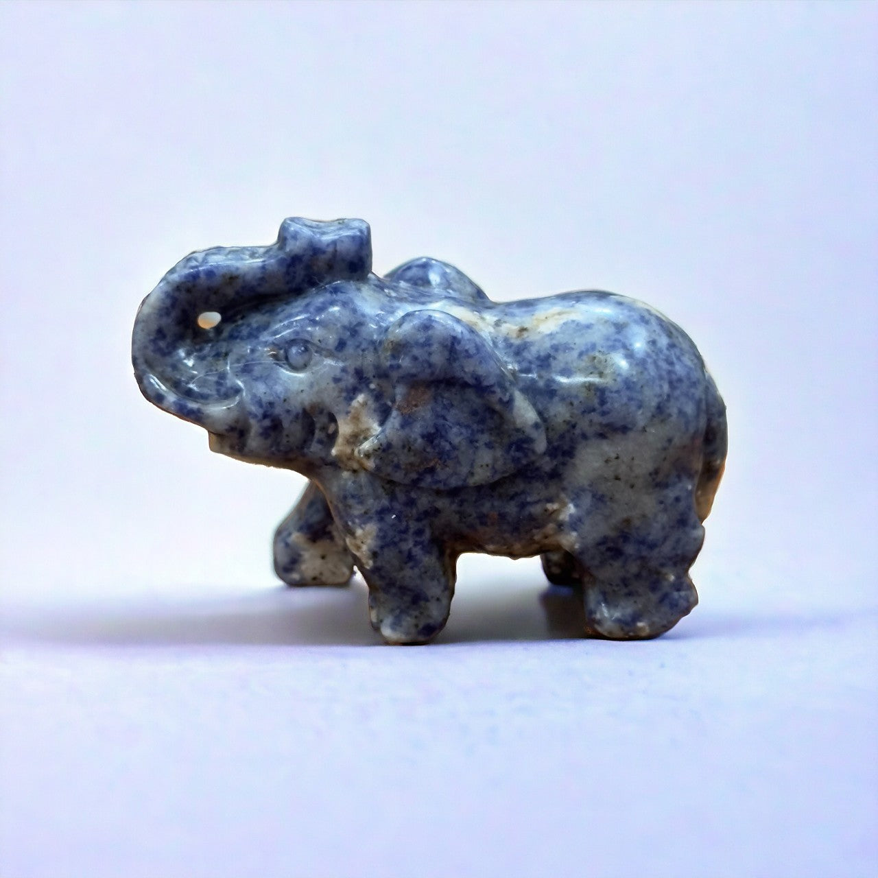 Sodalite Elephant | 319g