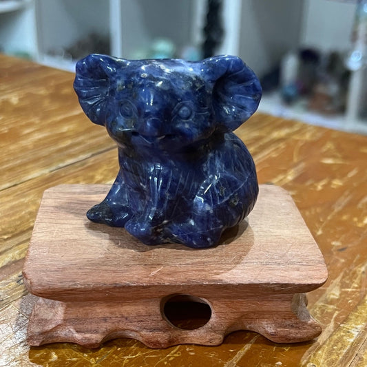 Sodalite Koala