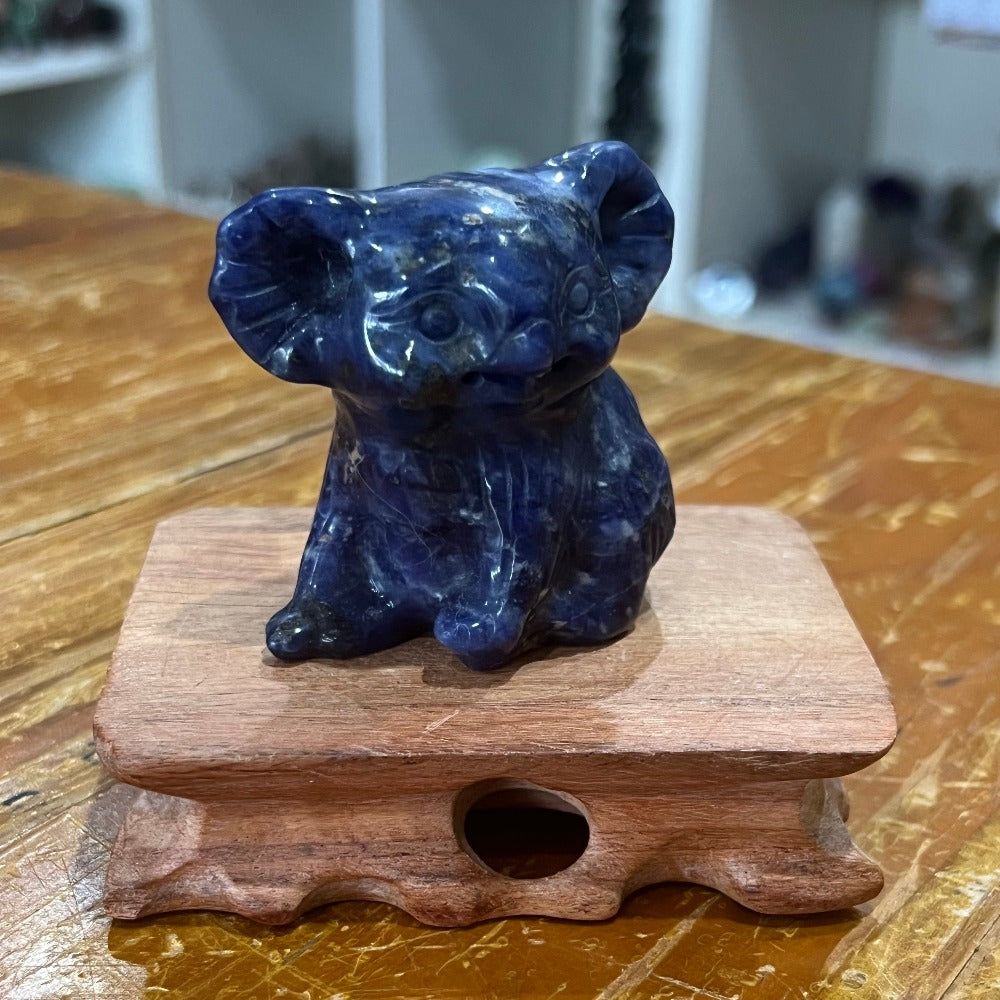 Sodalite Koala