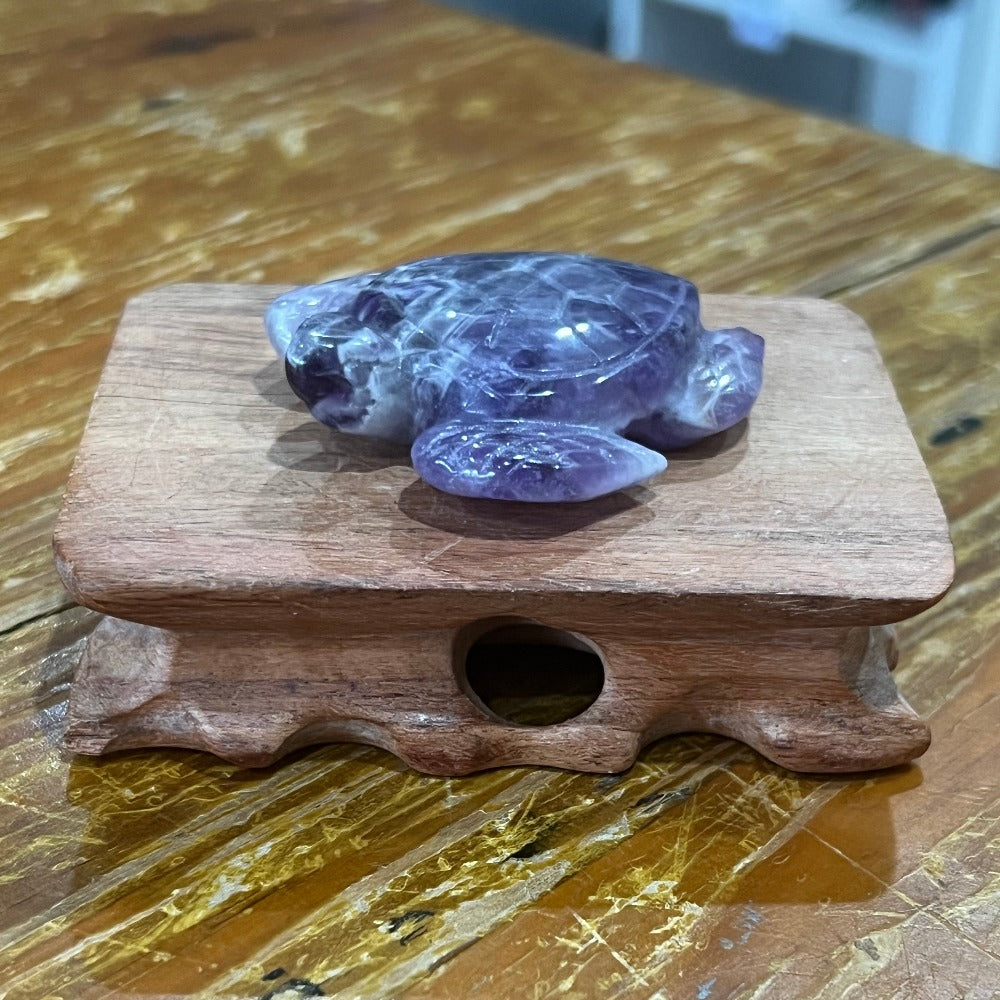 Dream Amethyst Sea Turtle