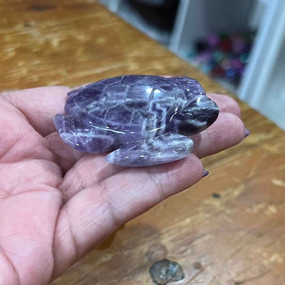 Crystal Back Turtle Dream Amethyst Sea Turtle – Crystals by Sisters