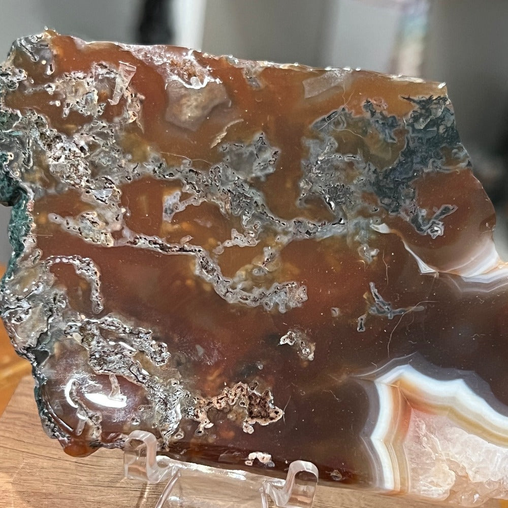 Red Moss Agate Slab