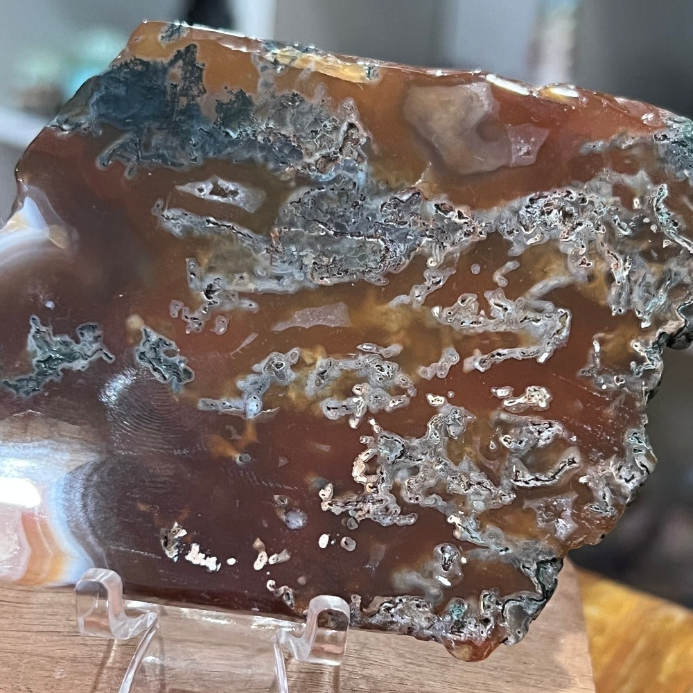 Red Moss Agate Slab