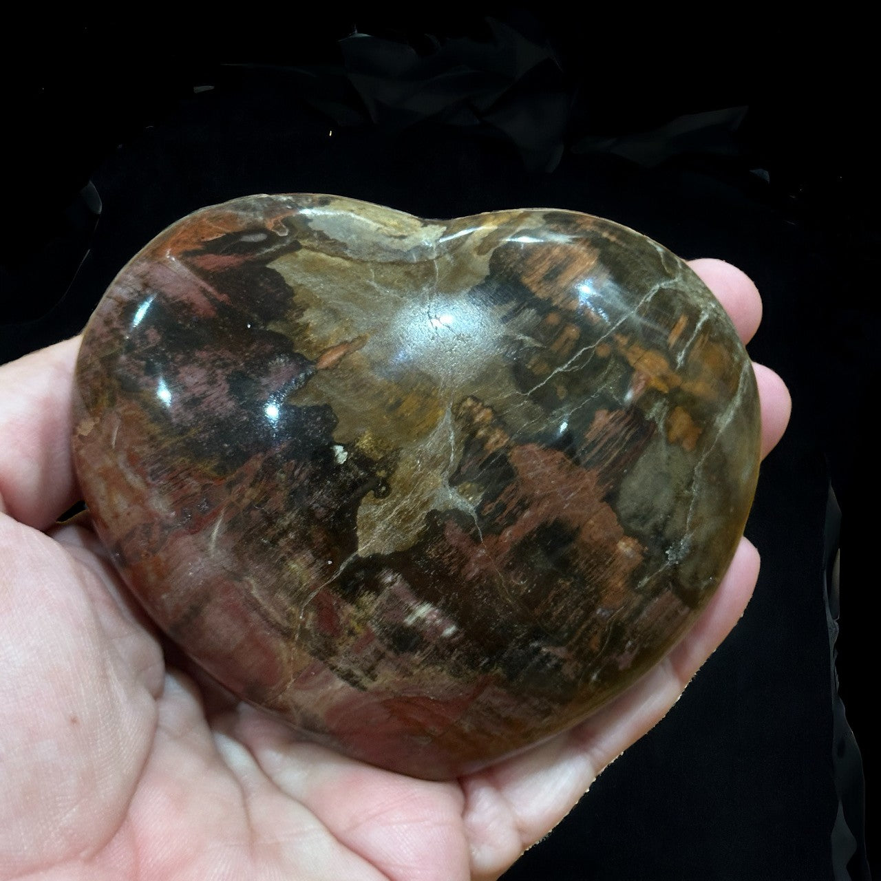 Petrified Wood Heart | 394g