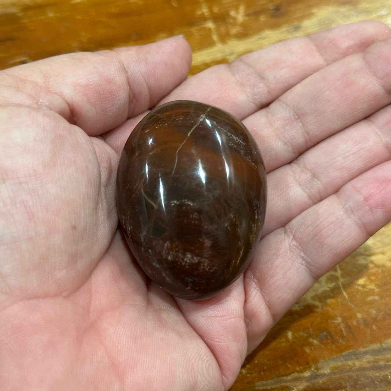 Petrified Wood Palmstone | 80g