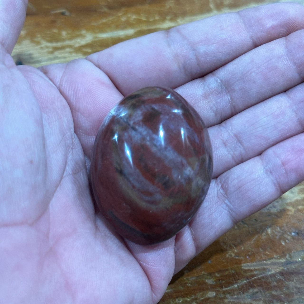 Petrified Wood Palmstone | 62g