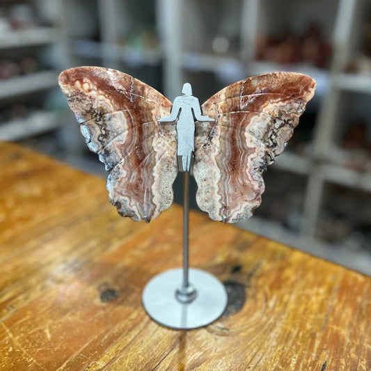 Pink Crazy Lace Agate Butterfly Wings on Stand