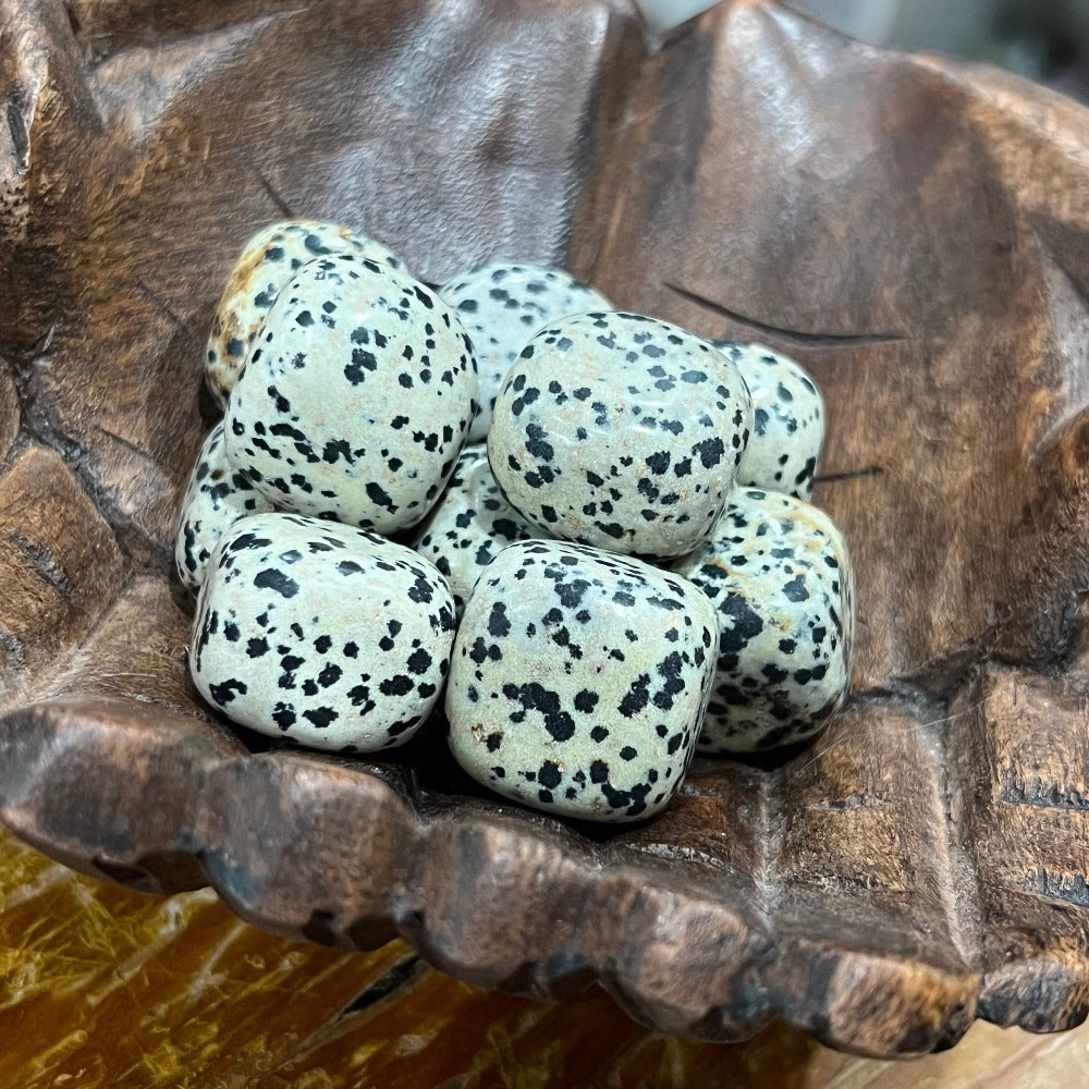 Tumbles | Dalmatian Jasper