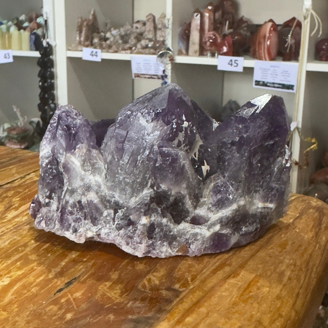 Amethyst Cluster | 532g