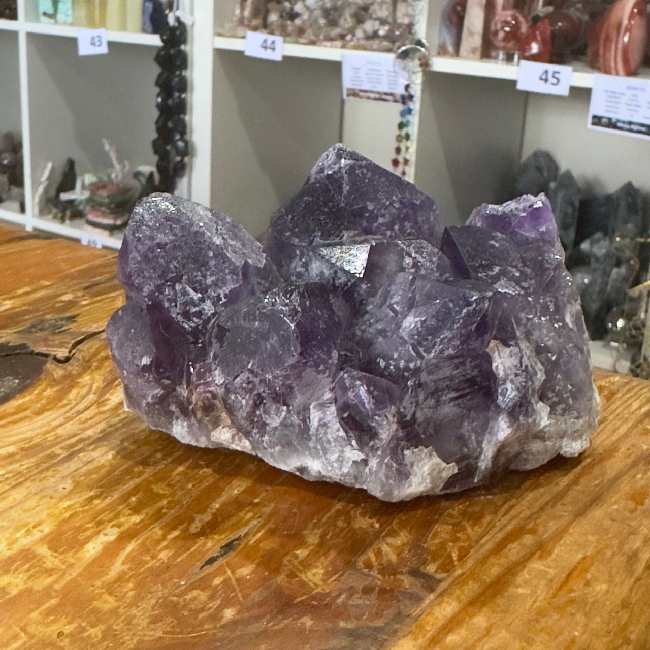 Amethyst Cluster | 532g