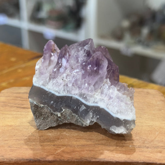 Amethyst Cluster | 64g