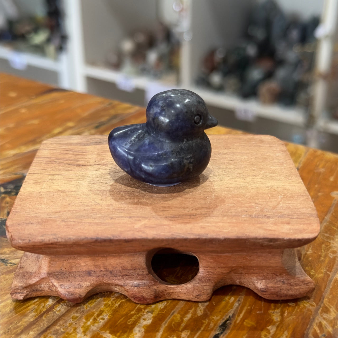 Sodalite Duck