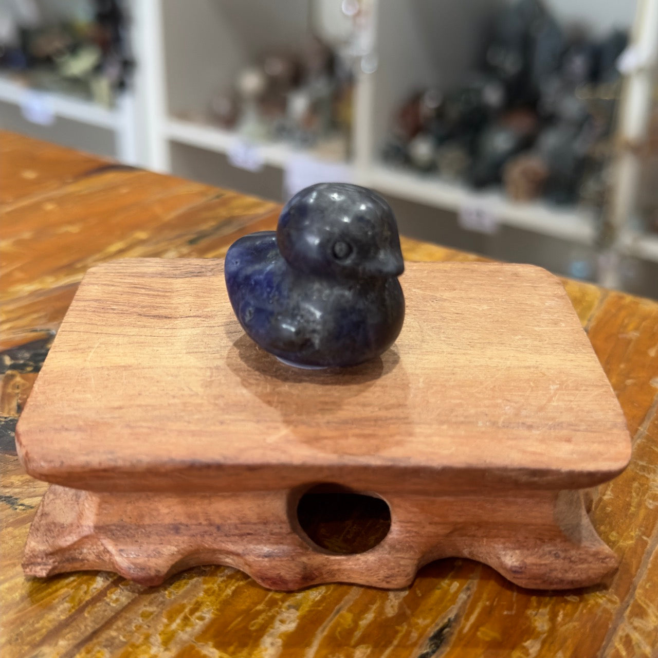 Sodalite Duck