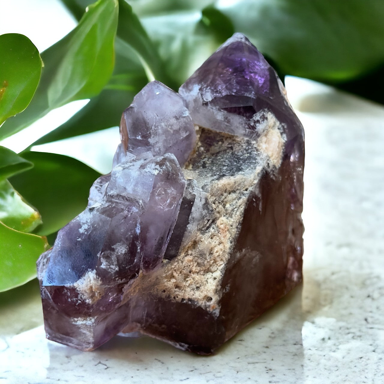 Amethyst & Smokey Quartz Enhydro | 558g