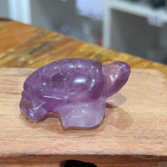 Fluorite Turtle