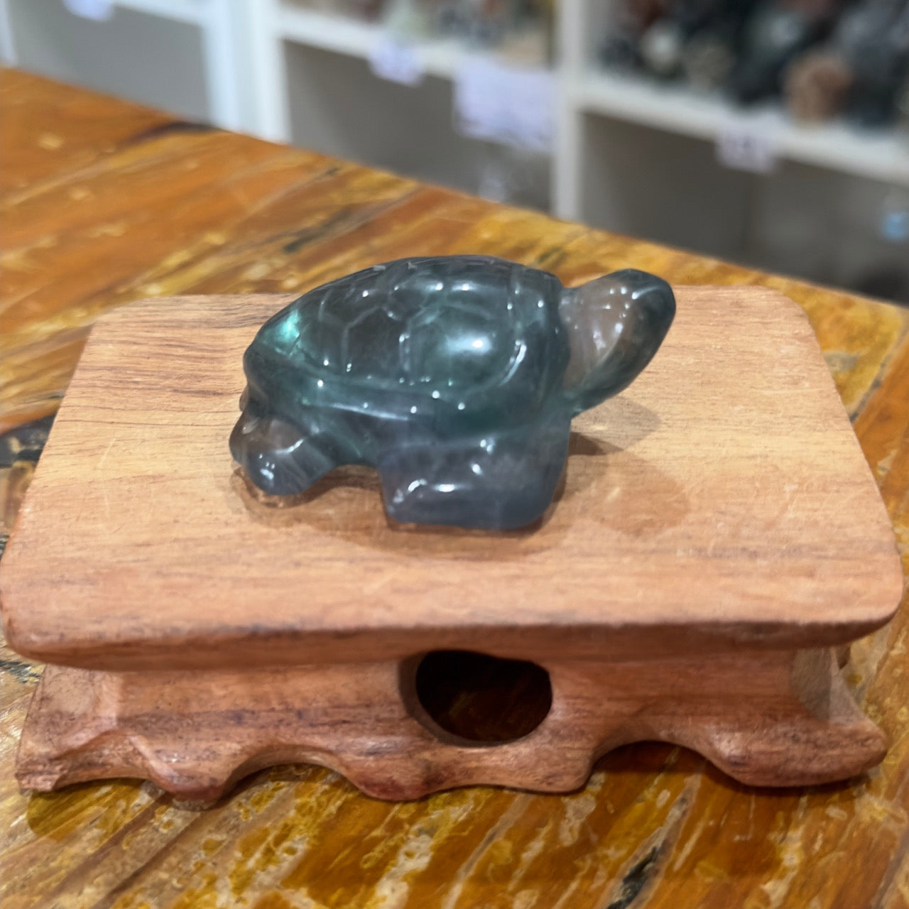 Fluorite Turtle