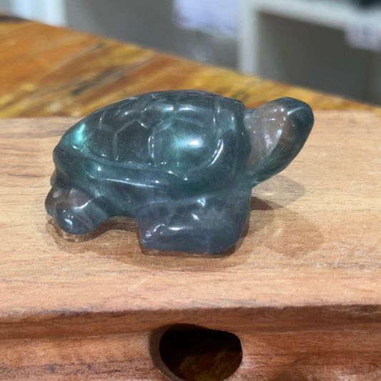 Fluorite Turtle