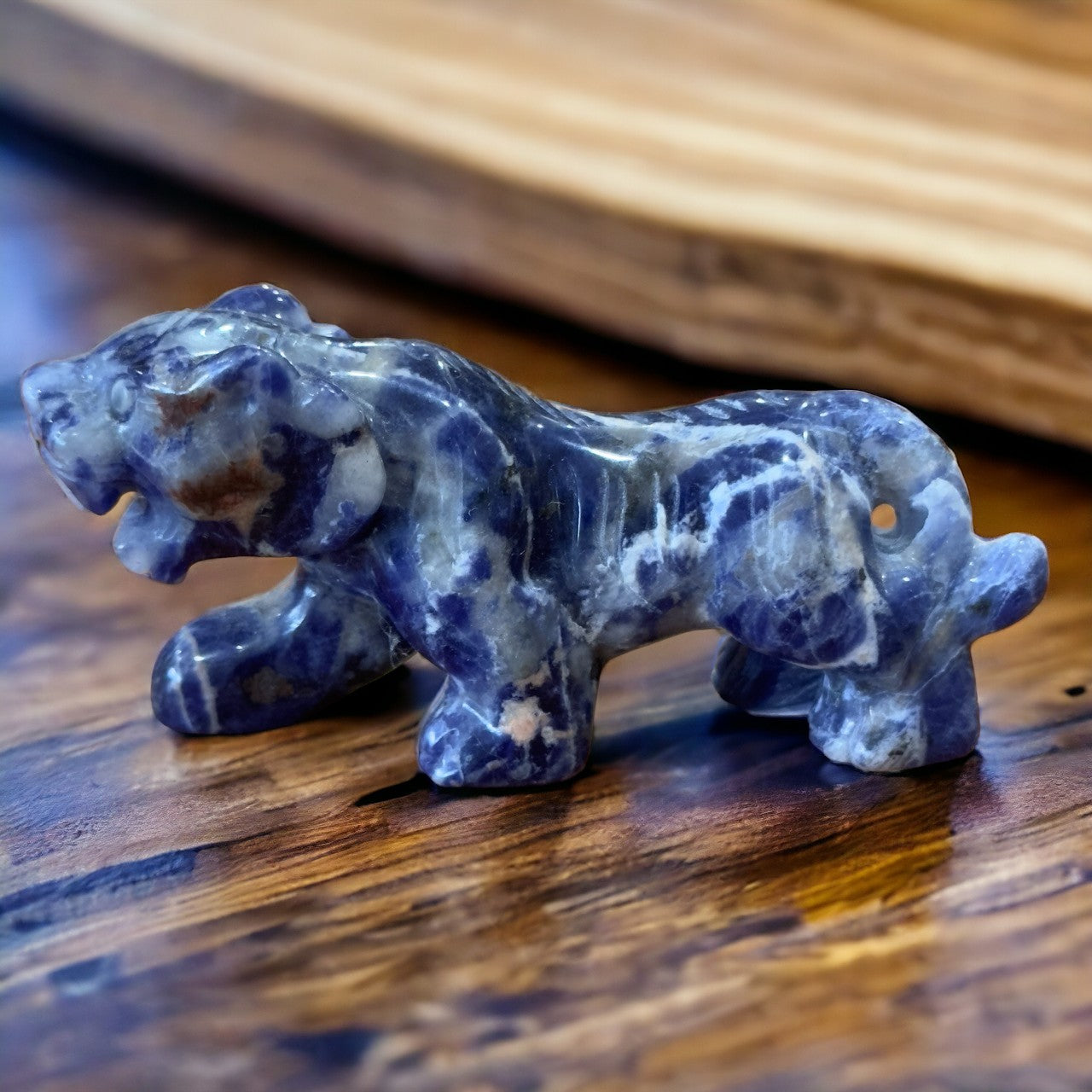 Sodalite Tiger