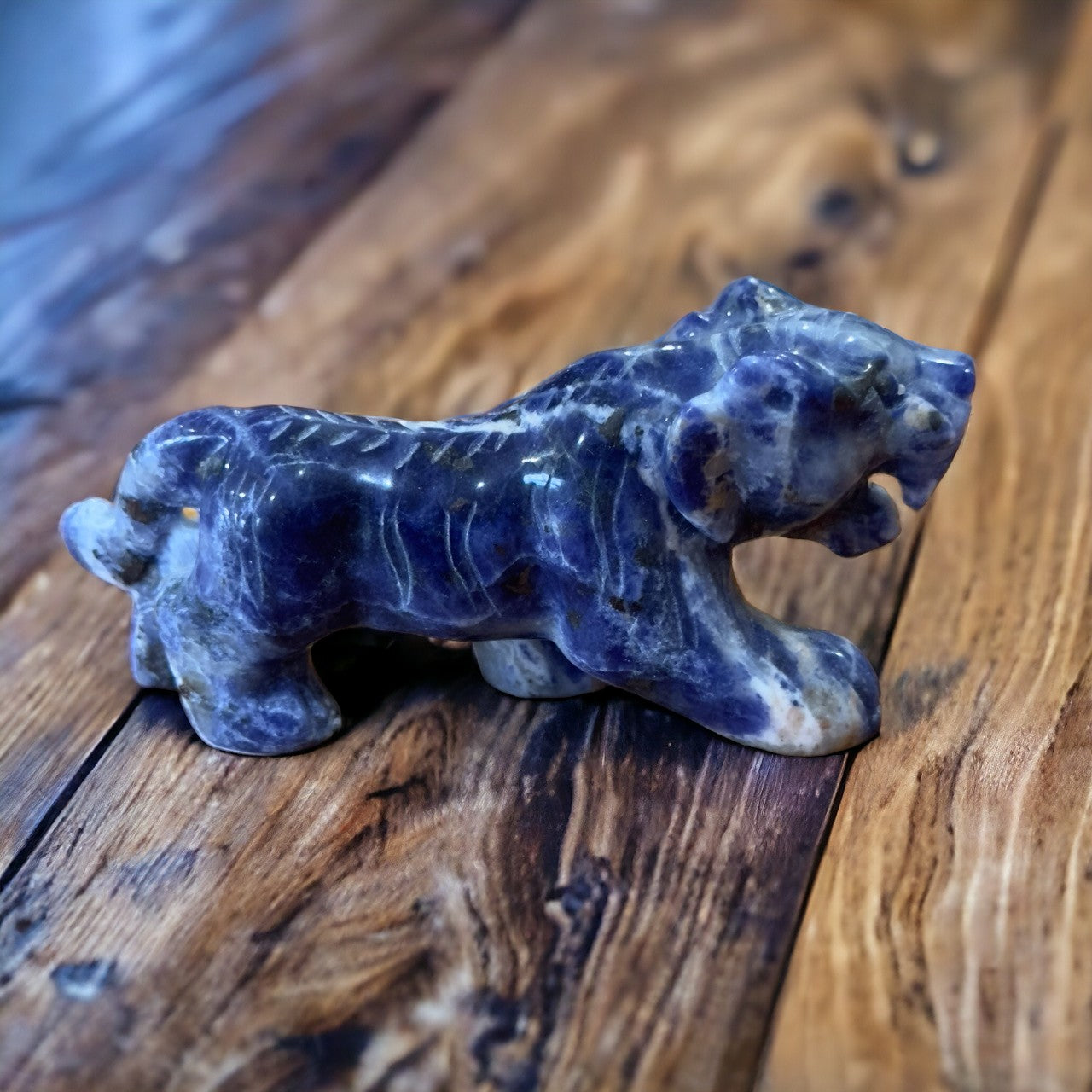 Sodalite Tiger