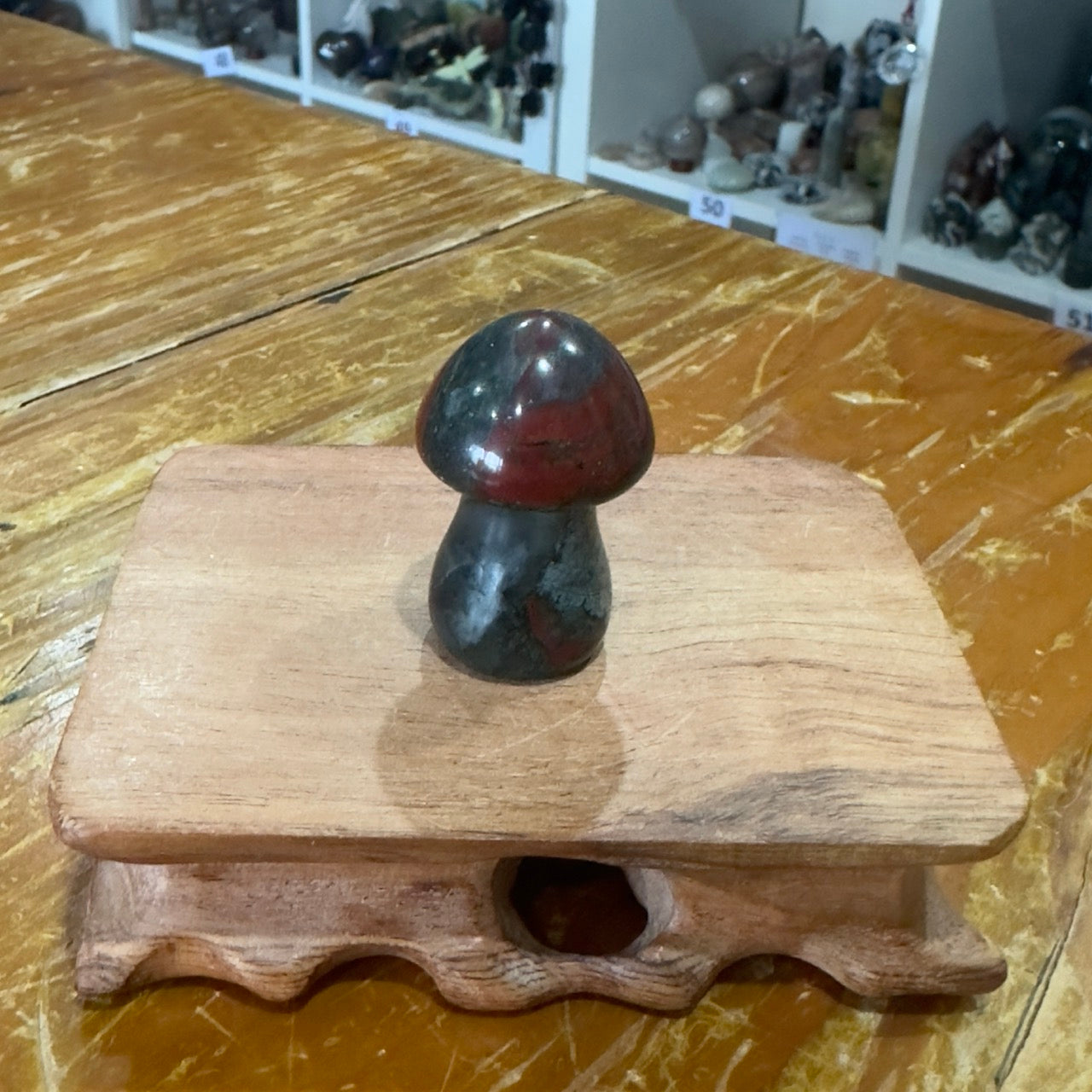 African Bloodstone Mushroom