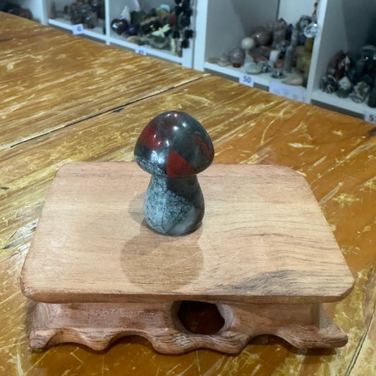 African Bloodstone Mushroom