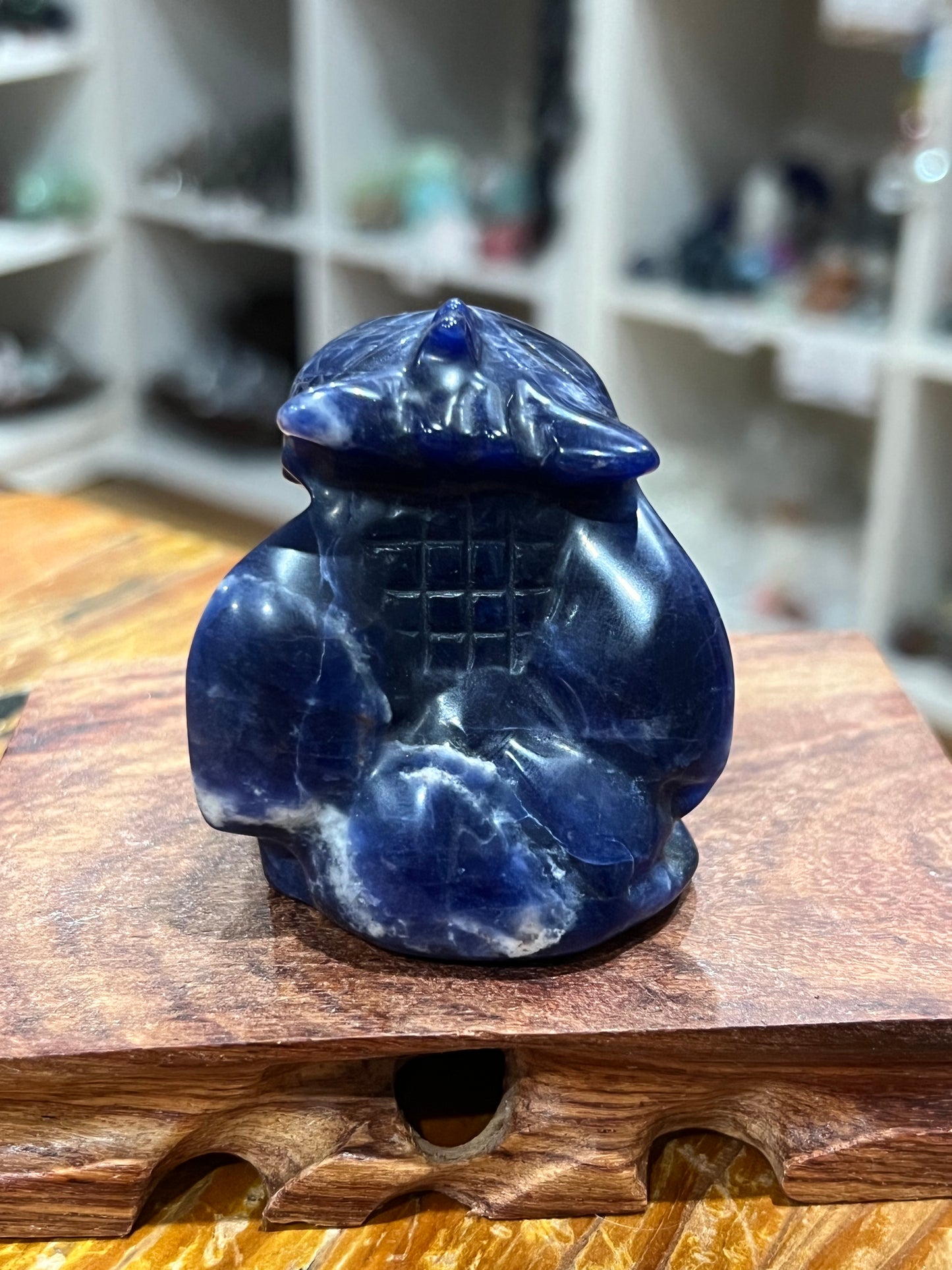 Sodalite Toothless