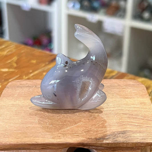 Druzy Agate Dolphin