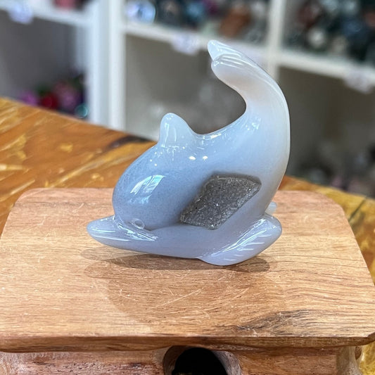 Druzy Agate Dolphin