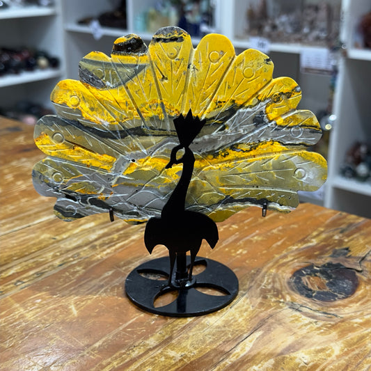 Bumblebee Jasper Peacock