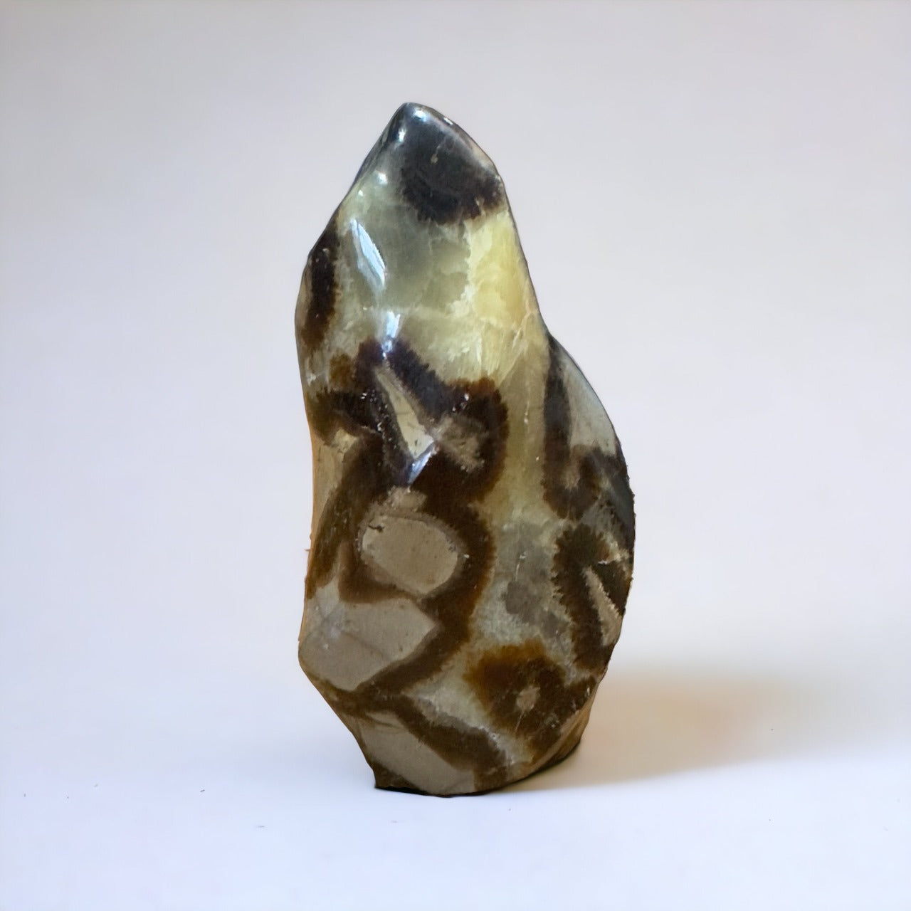 Septarian Flame | 349g