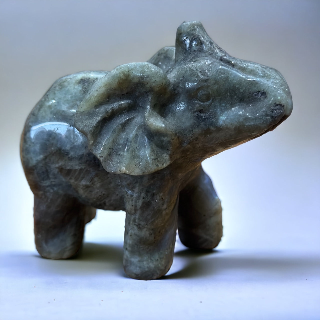 Labradorite Elephant | 716g