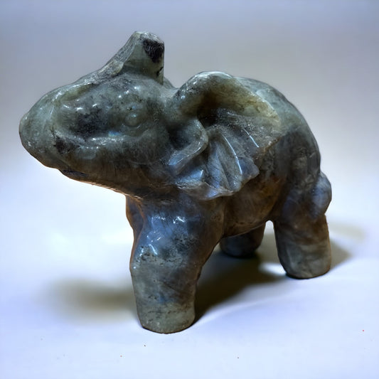 Labradorite Elephant | 716g