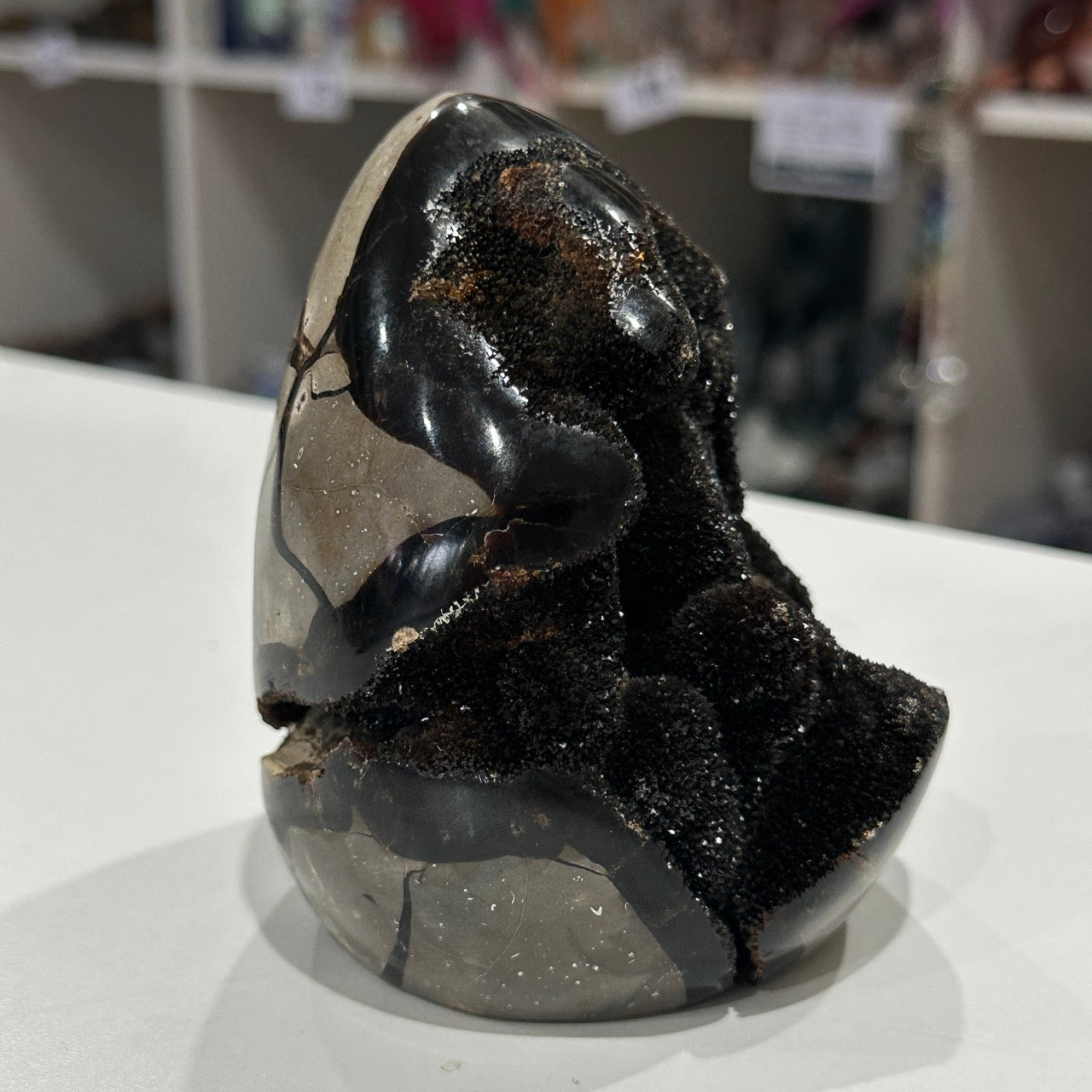 Druzy Septarian Egg | 904g