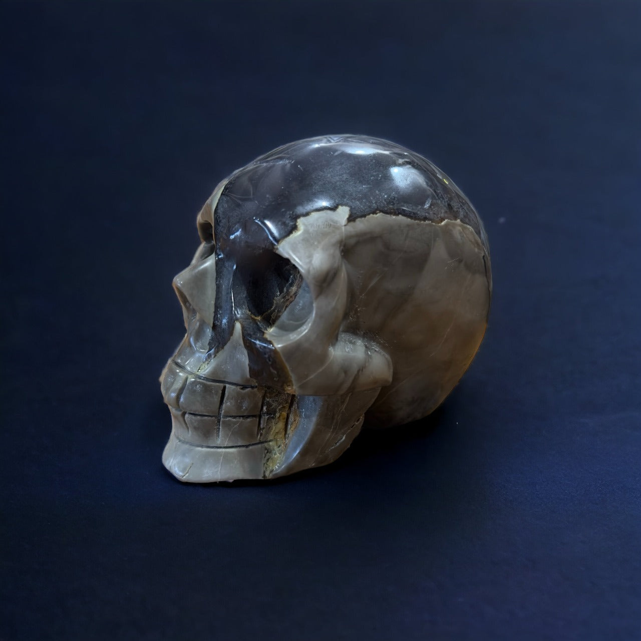 Volcanic Agate Skull | 1.09kg
