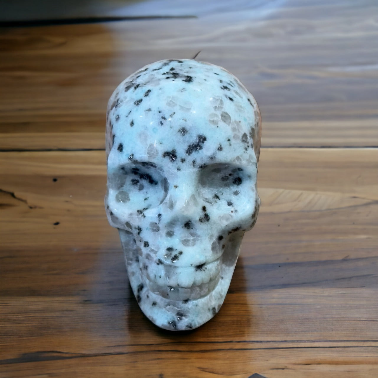Kiwi Jasper Skull | 317g