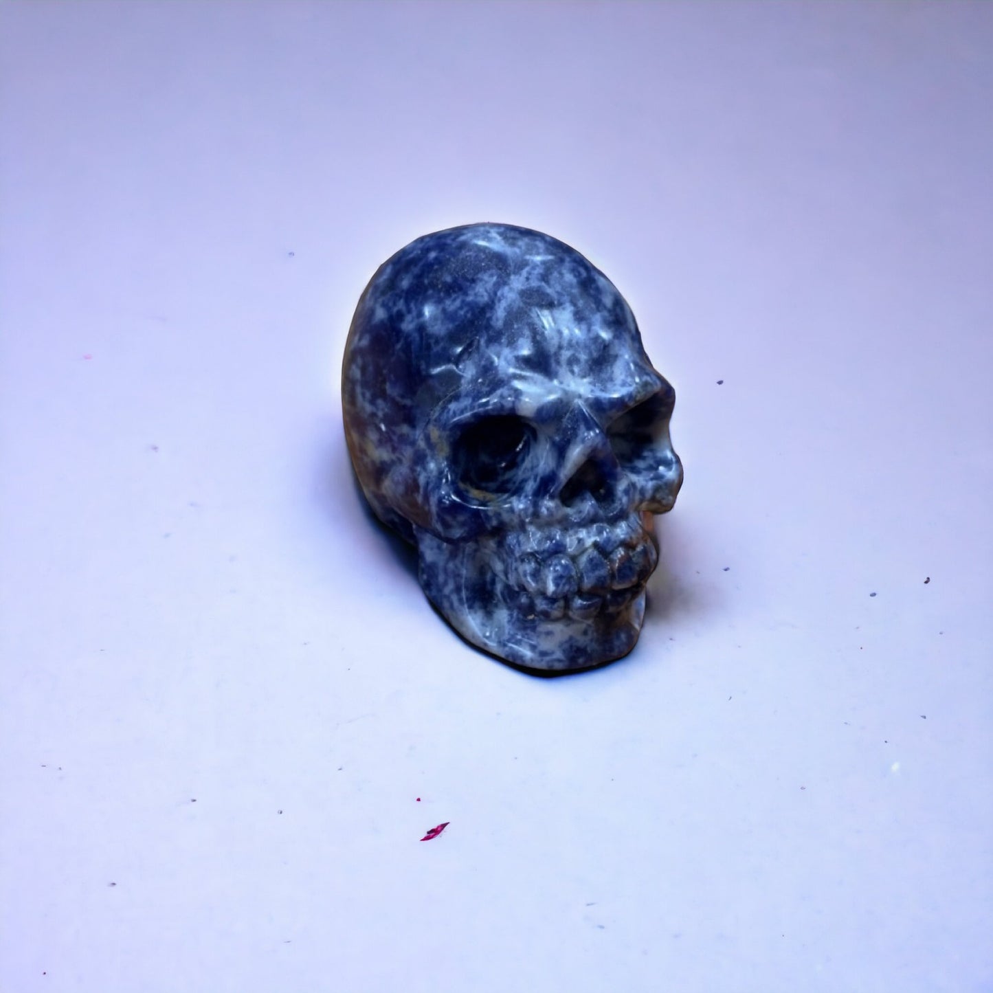 Sodalite Skull | 91g