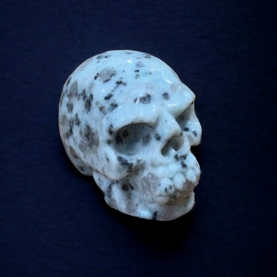 Kiwi Jasper Skull | 80g