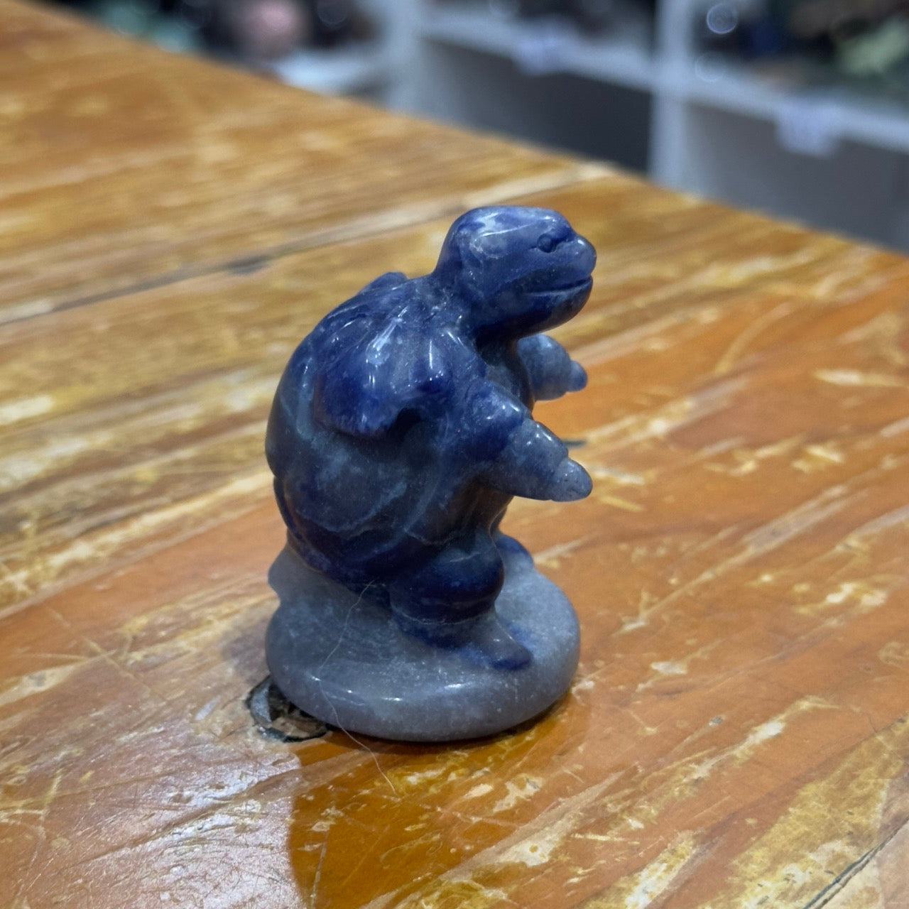 Blue Aventurine Blastoise | Pokemon