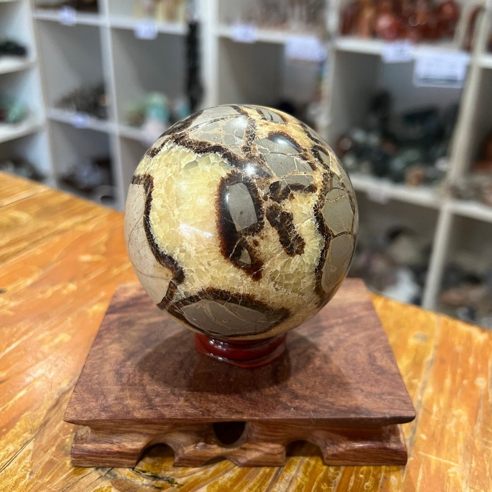 Septarian Sphere